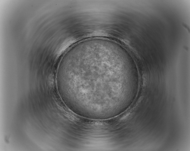 X0000102281266200808011442