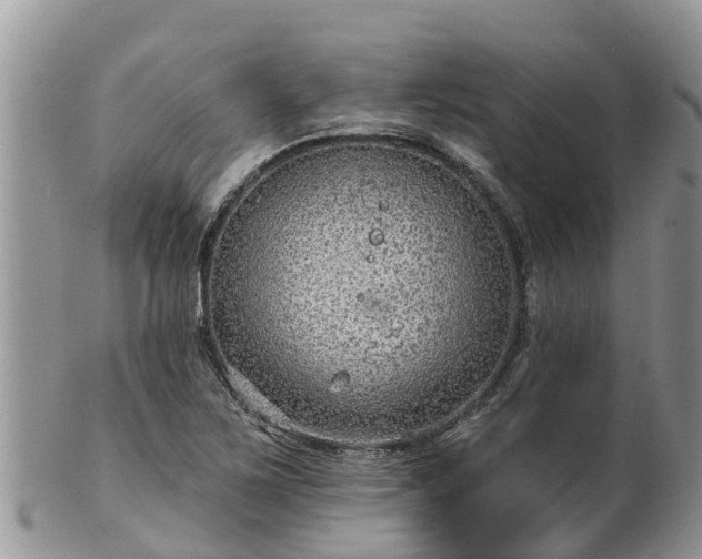 X0000102281267200808011442