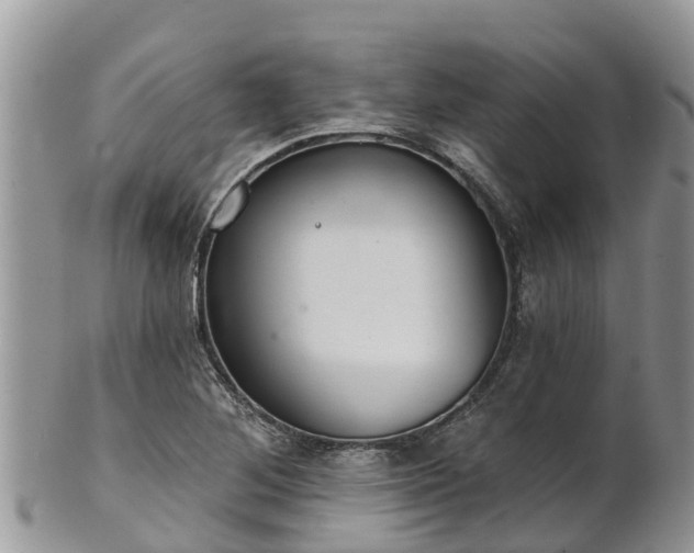 X0000102281268200808011442