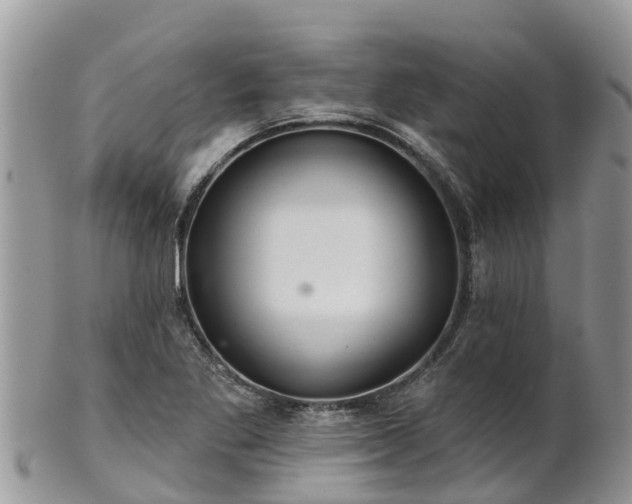 X0000102281269200808011442