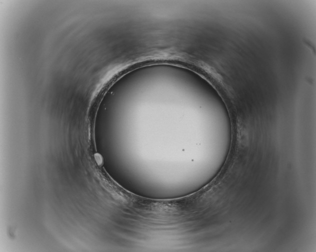 X0000102281270200808011442