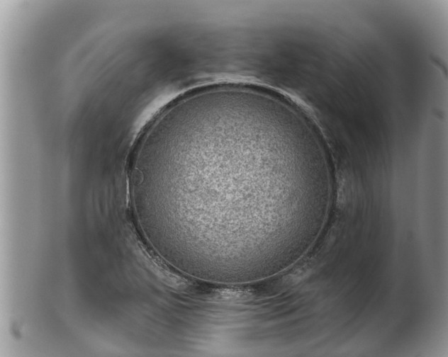 X0000102281271200808011442