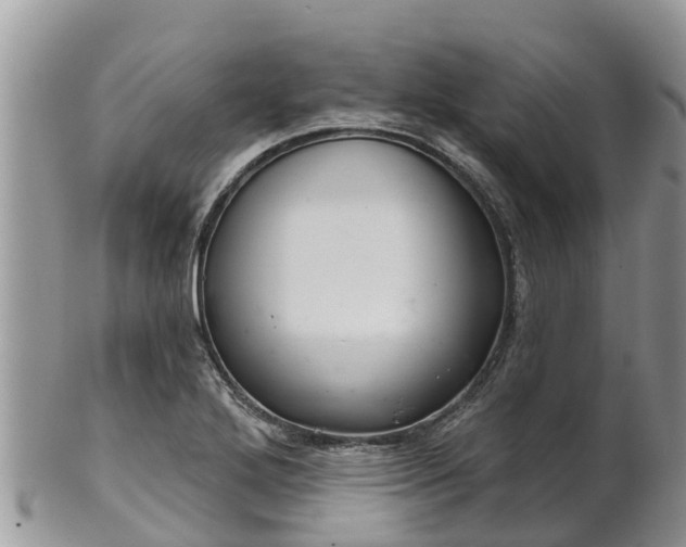 X0000102281272200808011442