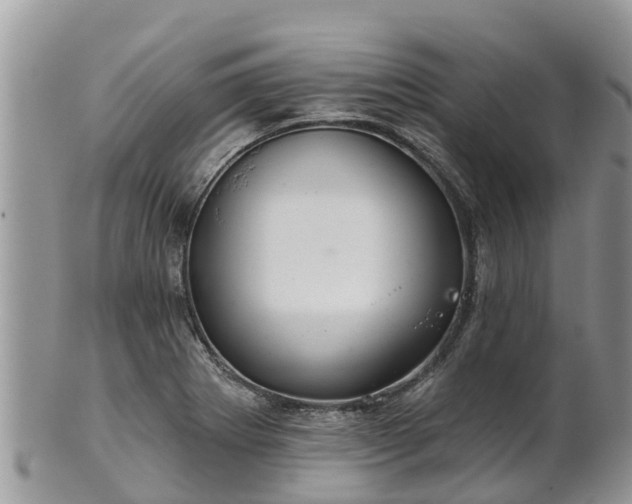 X0000102281273200808011442