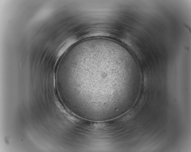 X0000102281274200808011442