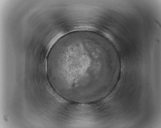 X0000102281275200808011442