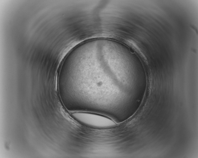 X0000102281276200808011442