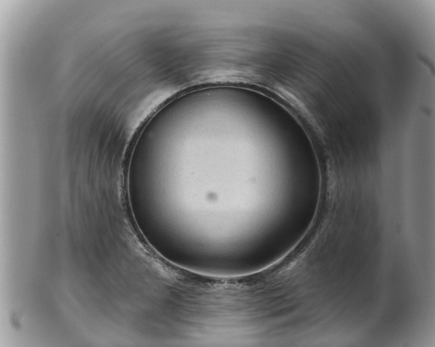 X0000102281277200808011442