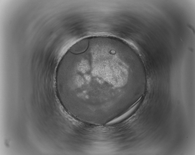 X0000102281279200808011442