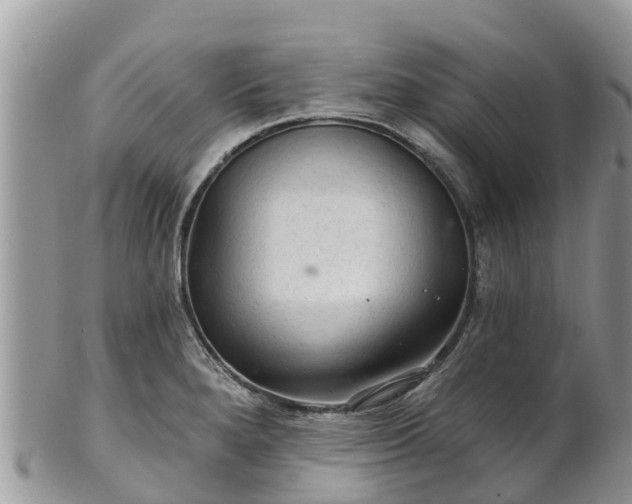 X0000102281280200808011442