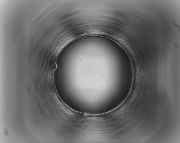 X0000102281281200808011442