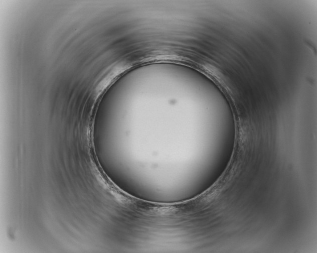 X0000102281282200808011442