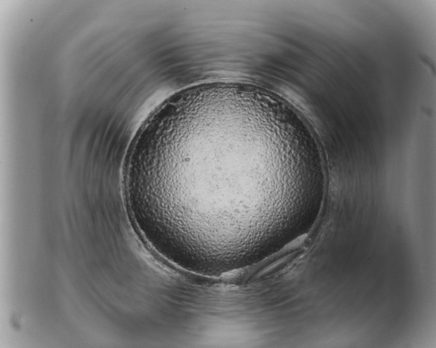 X0000102281283200808011442