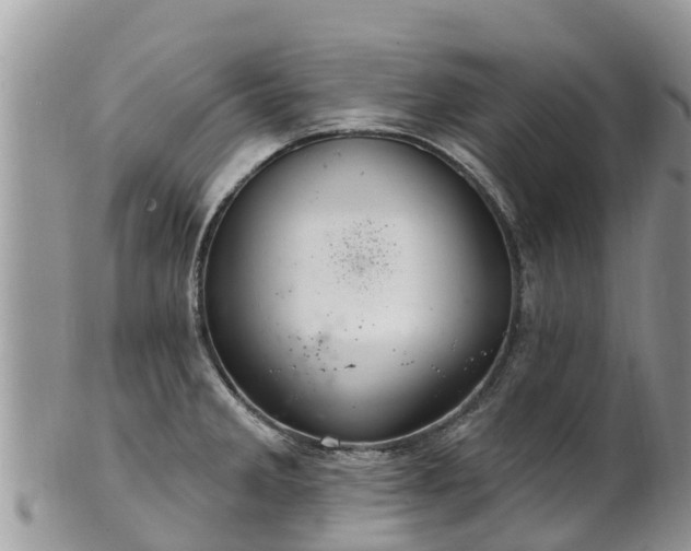 X0000102281285200808011442