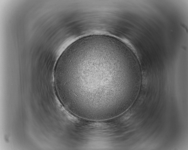 X0000102281287200808011442