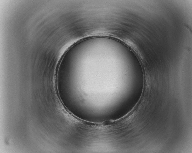 X0000102281288200808011442