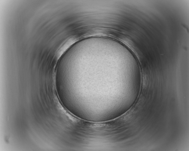 X0000102281290200808011442