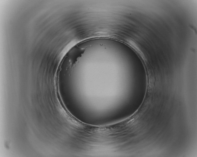 X0000102281291200808011442