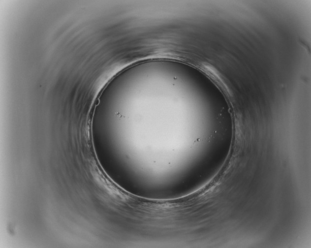 X0000102281292200808011442