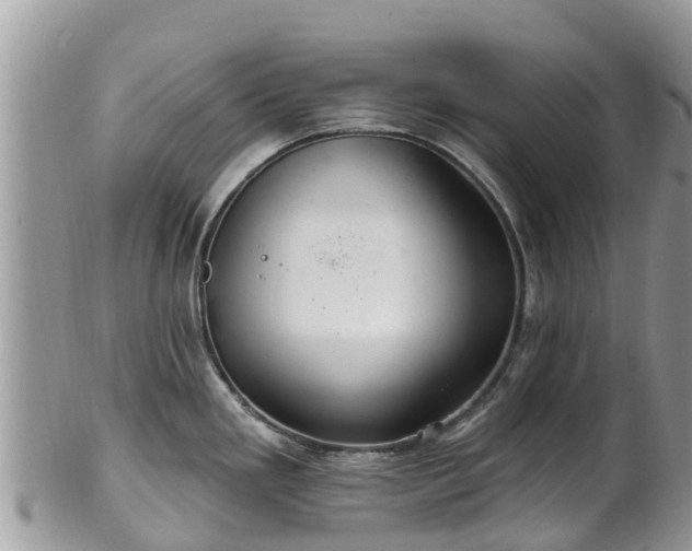 X0000102281293200808011442