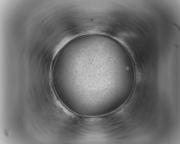 X0000102281294200808011442