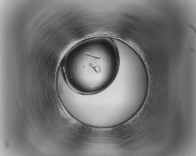 X0000102281296200808011441