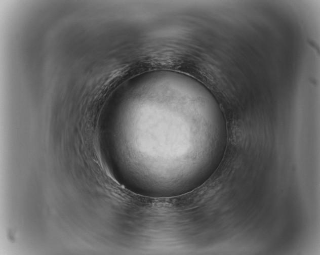 X0000102281297200808011441