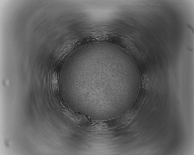 X0000102281298200808011441