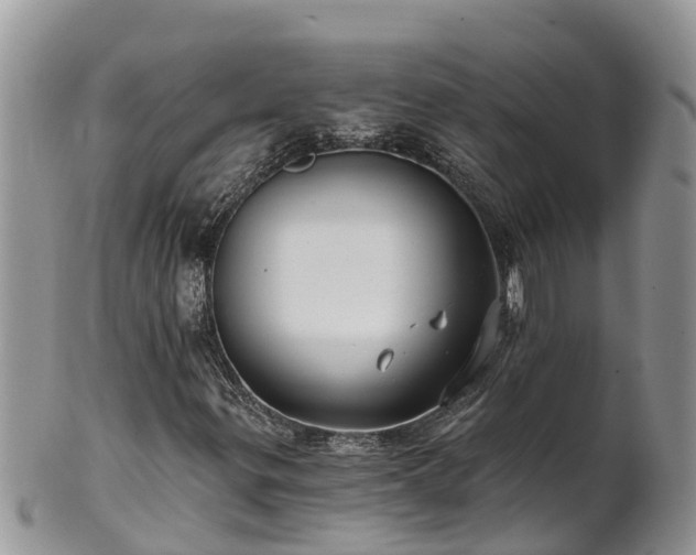 X0000102281299200808011441