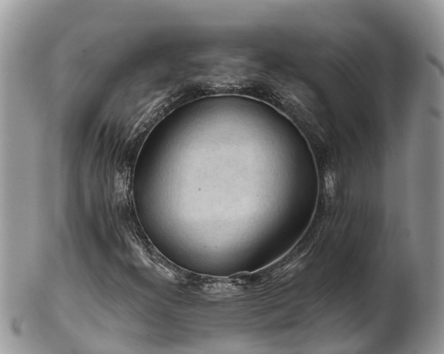 X0000102281300200808011441