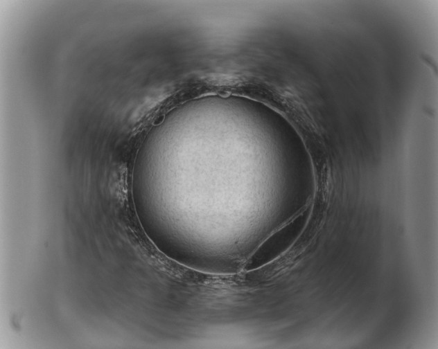 X0000102281301200808011441