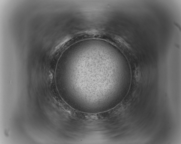 X0000102281302200808011441