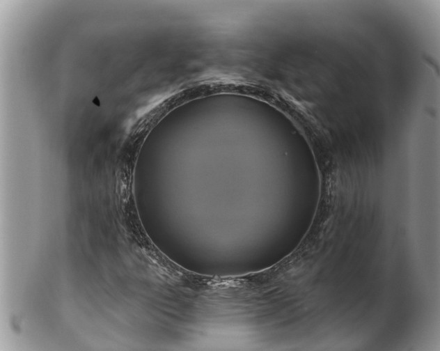 X0000102281303200808011441