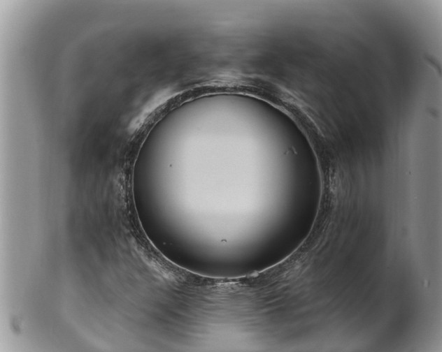 X0000102281304200808011441