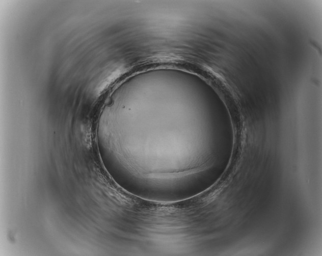 X0000102281306200808011441