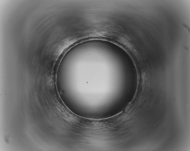 X0000102281308200808011441