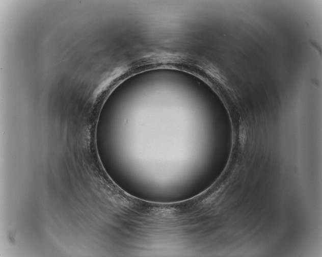 X0000102281309200808011441