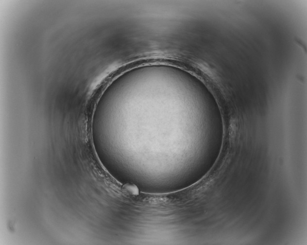X0000102281310200808011441