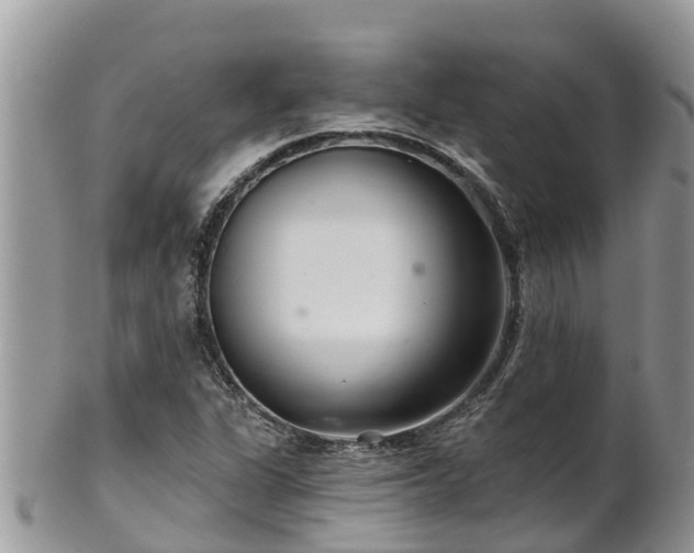 X0000102281311200808011441
