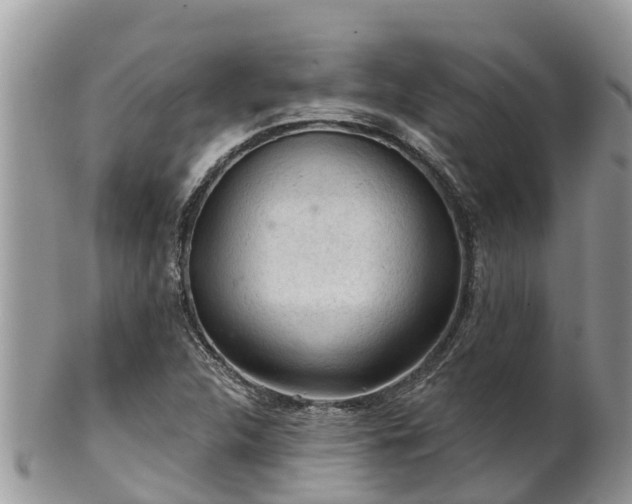 X0000102281312200808011441