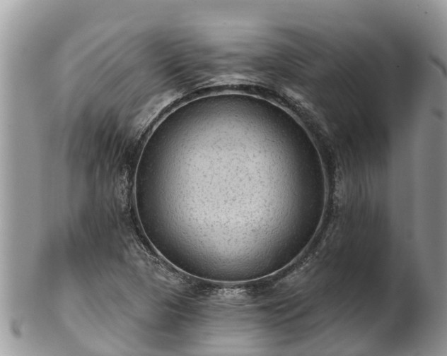 X0000102281313200808011441