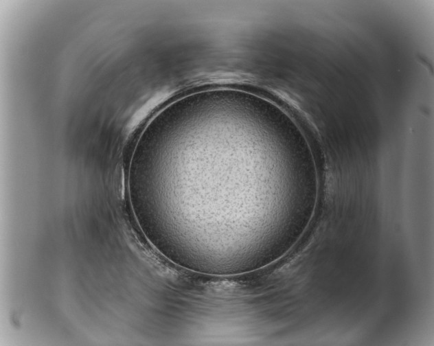 X0000102281317200808011441