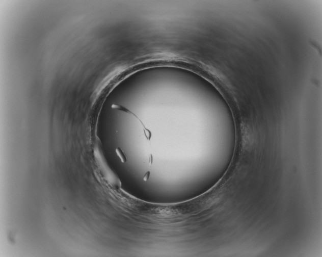 X0000102281318200808011441