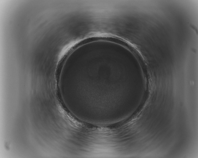 X0000102281319200808011441