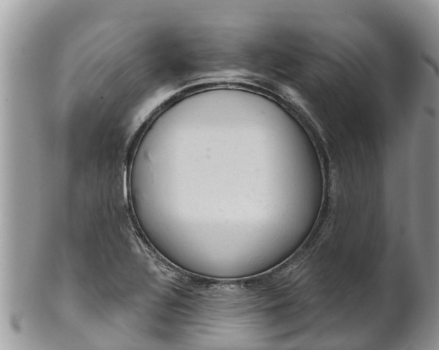 X0000102281320200808011441