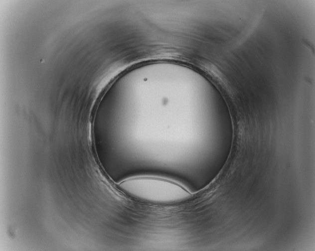X0000102281324200808011441