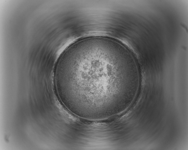 X0000102281325200808011441