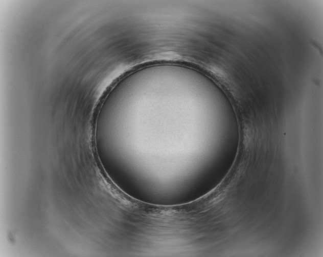 X0000102281326200808011441