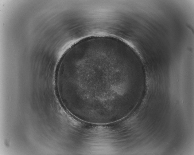 X0000102281327200808011441