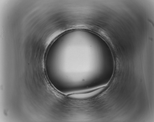 X0000102281328200808011441